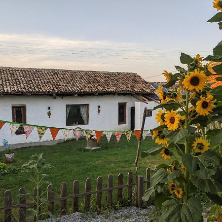 Serendipity Cottage Palamartsa Palamarza Extérieur photo