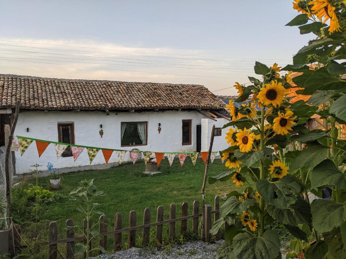 Serendipity Cottage Palamartsa Palamarza Extérieur photo